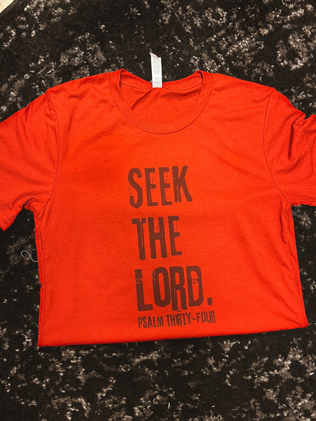 Seek the Lord Short-Sleeve Tee